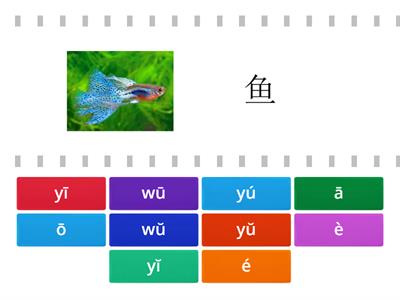 汉语拼音练习（一）