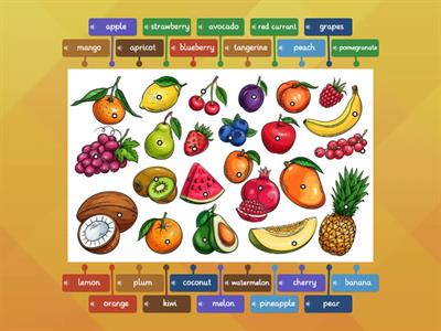 Fruit (labelled diagram)