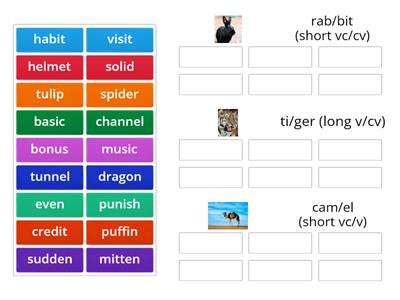 Rabbit/Tiger/Camel Syllables