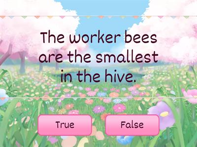 Bees true/false