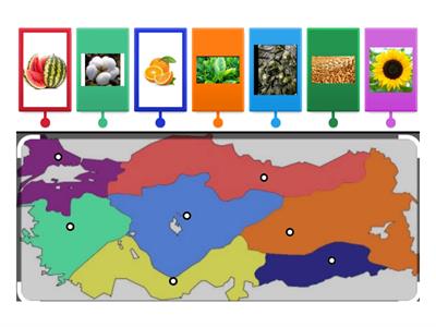 Ülkemizde Yetişen Tarım Ürünleri 