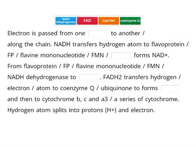 Explain how electrons form NADH and FADH2 flow through the electron transport chain with the production of ATP