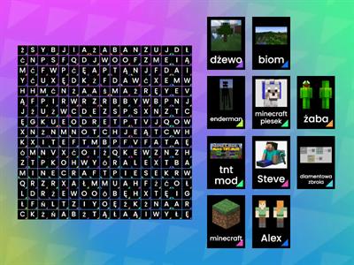 minecraft word search cz2