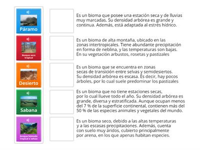 Una cada bioma terrestre con su definición correspondiente