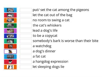 C2S1 Dog & cat idioms