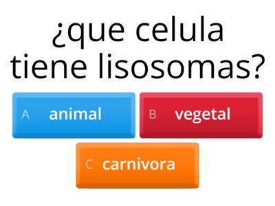 celula animal y vegetal