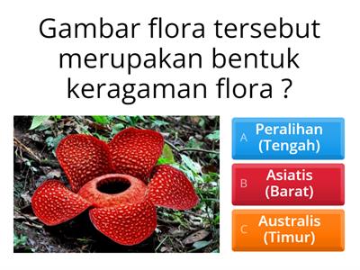 Persebaran Flora & Fauna Indonesia
