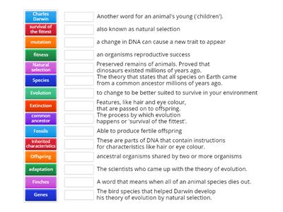 7A Evolution