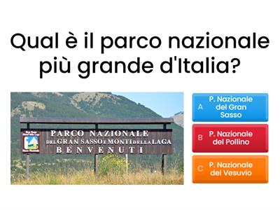 Quiz Storia e Geografia - Andrea5C