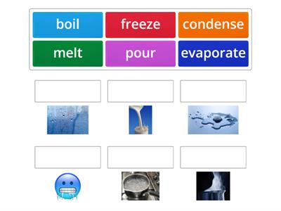 Science verbs