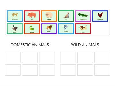 CLASIFICA LOS ANIMALES SALVAJES Y ANIMALES DOMESTICOS