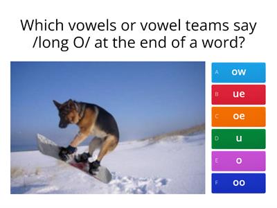 4.13 Long O and U vowel team quiz review