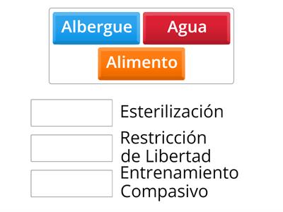 Cómo cuidar a los animales