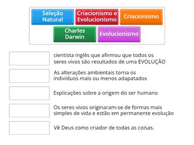 Historia Evolucionismo E Criacionismo 6 Ano - Recursos De Ensino