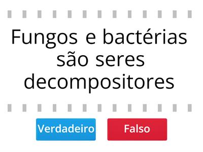 Fungos e bactérias 