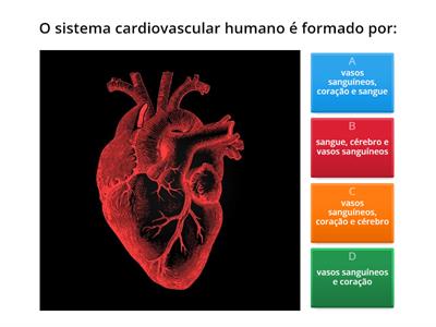 SISTEMA CARDIOVASCULAR