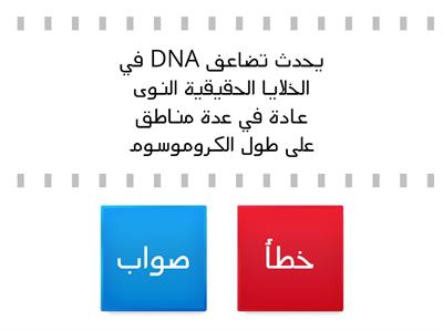 تضاعف DNA