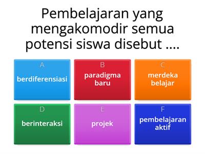 Pembelajaran Berdiferensiasi