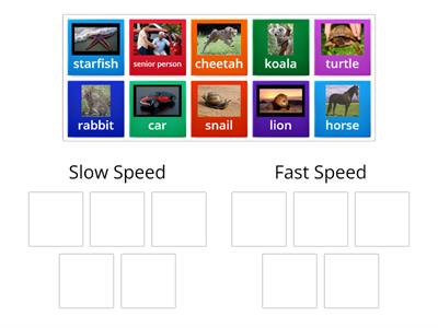 Slow vs Fast Speed