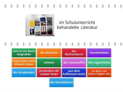 Wortschatz Lesen C2