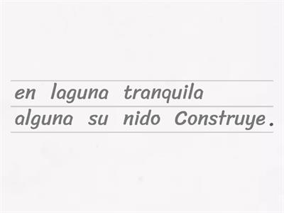 Reordena las palabras paraformar enunciados