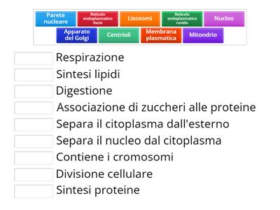 Scienze associazione