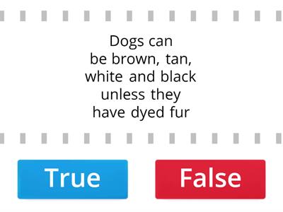 dogs funny facts