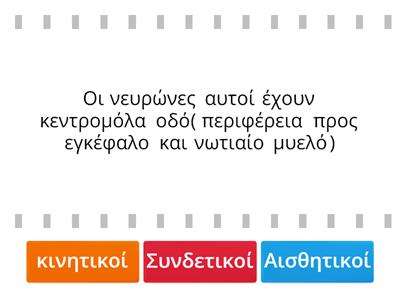 Λειτουργική διαίρεση των νευρώνων