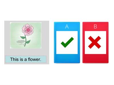 STARTER 1 - TEST 2 - READING - P1