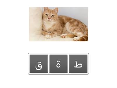 عربي-ترتيب احرف