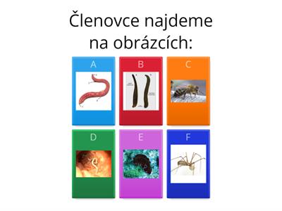 Členovci - poznávačka