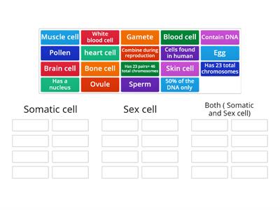 Somatic vs Sex cell Sort