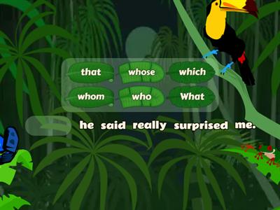 Relative Pronoun [who, whom, what, that, whose, which]