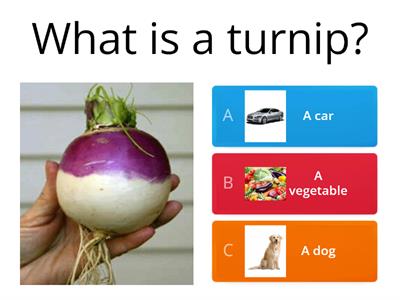The Enormous Turnip Quiz