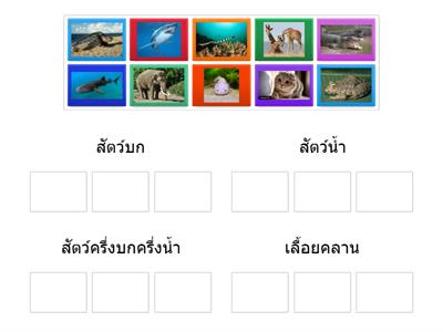 จัดกลุ่มสัตว์