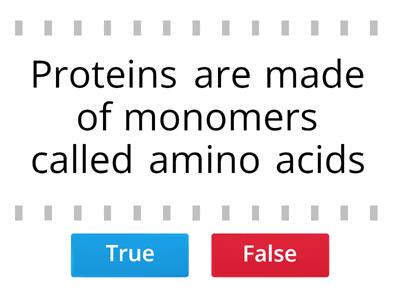 Proteins True or False