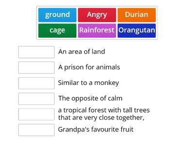 Rainforest rescue (Part 3)