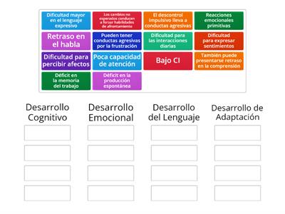 Discapacidad Límite Intelectual