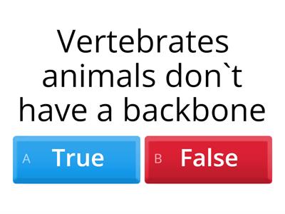 Vertebrates and Invertebrates