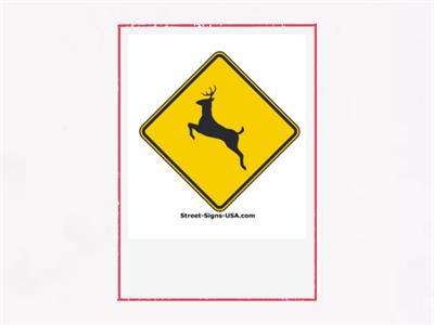 Driving in Canada: Traffic signs (1-24; pages 8-11)