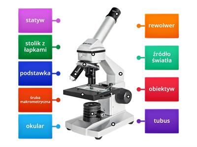 Elementy mikroskopu