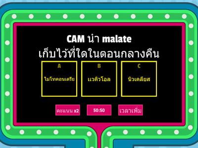 พืช CAM