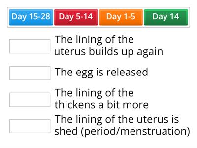 Timing of the menstrual cycle