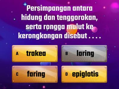 Quiz Sistem Pernapasan Manusia