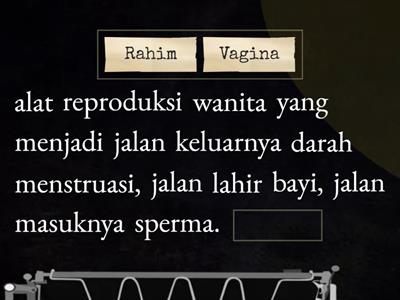 lanjut kata alat reproduksi wanita dan pria