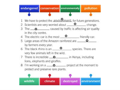 I8 U5A Vocabulary Environment