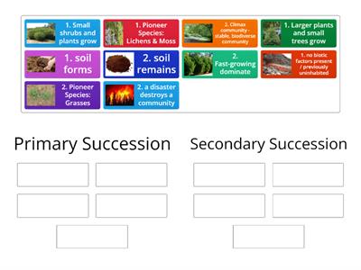 Primary (1) and Secondary (2) Succession
