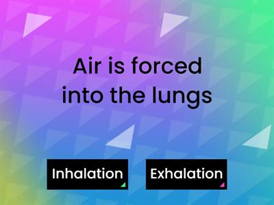 KS2 Breathing Mechanism