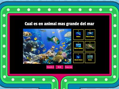 Animales marinos