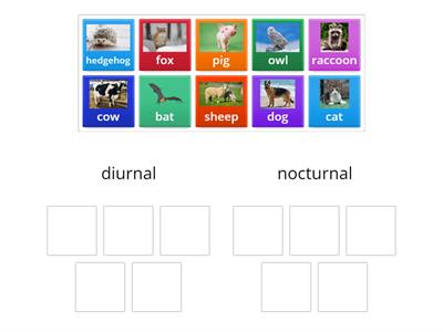 nocturnal vs diurnal